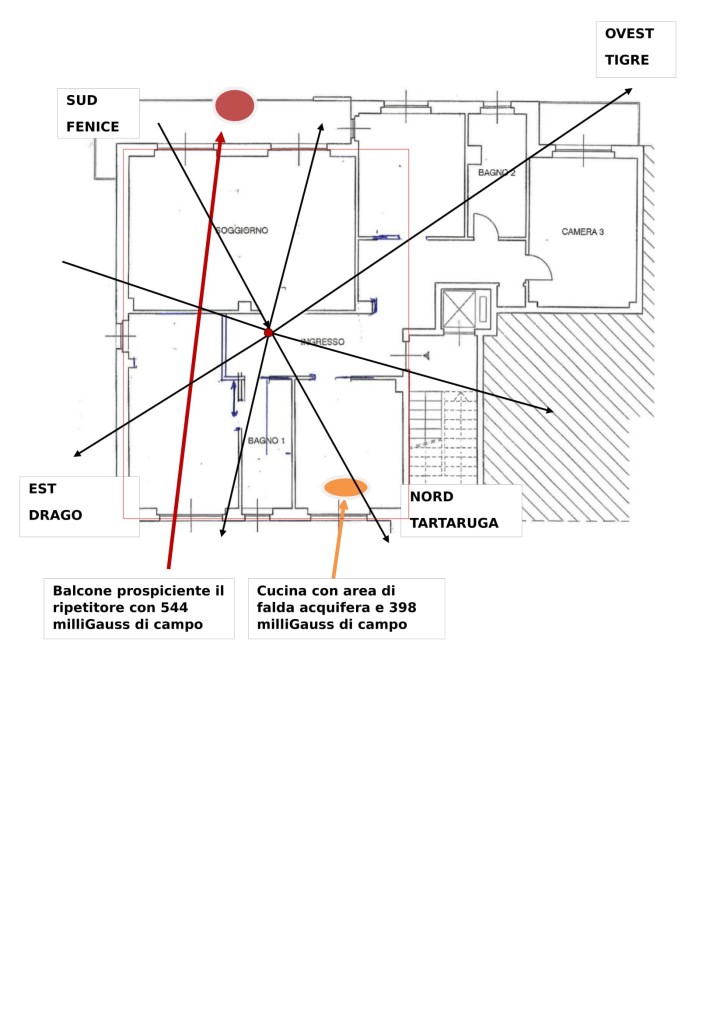 EARTH MAGNETIC FIELD AND FENG SHUI